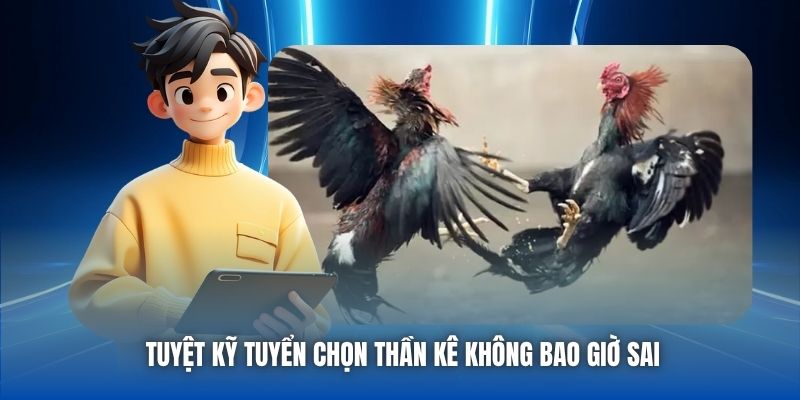 Tuyệt kỹ tuyển chọn thần kê không bao giờ sai