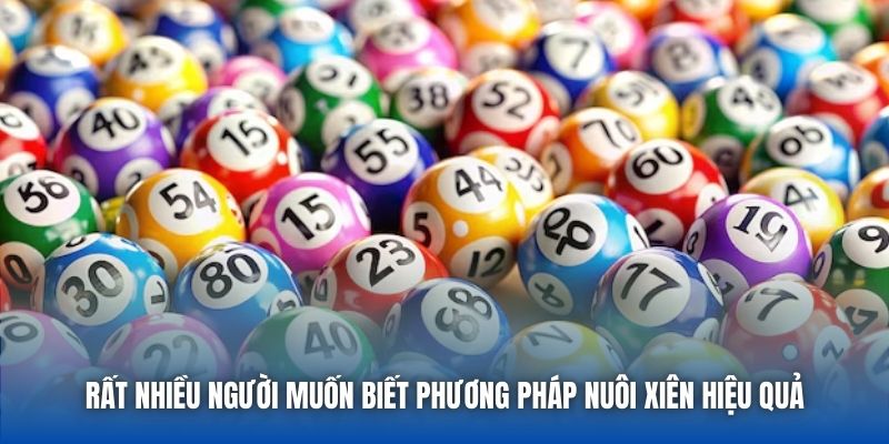 Rất nhiều người muốn biết phương pháp nuôi xiên hiệu quả