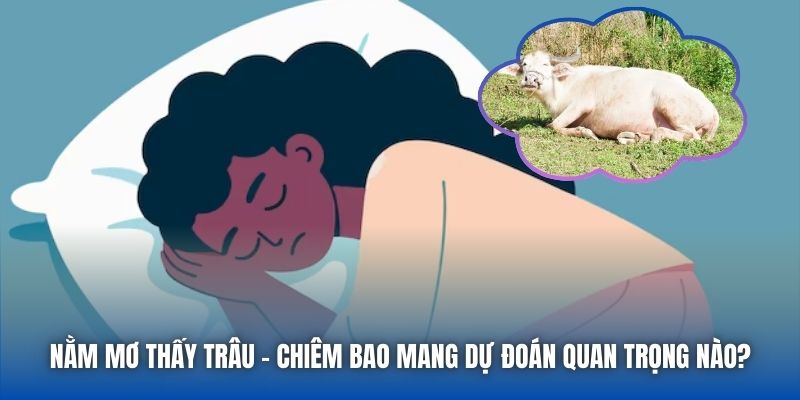 Nằm Mơ Thấy Trâu - Chiêm Bao Mang Dự Đoán Quan Trọng Nào?
