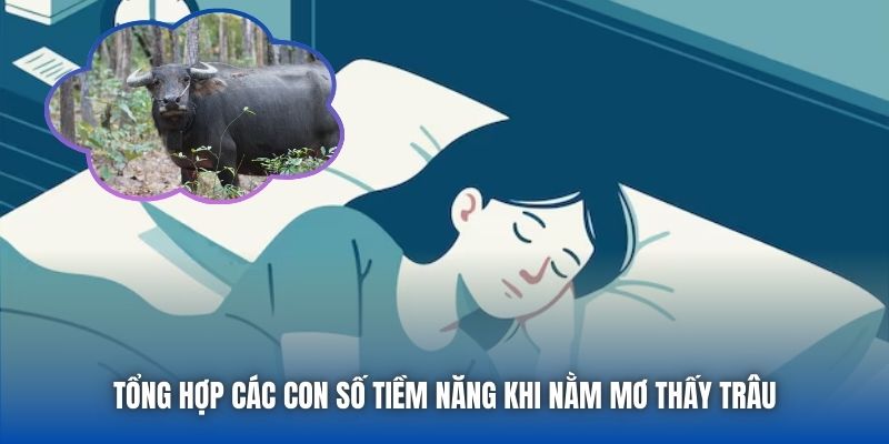 Tổng hợp các con số tiềm năng khi nằm mơ thấy trâu