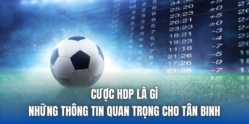 Cược HDP Là Gì | Những Thông Tin Quan Trọng Cho Tân Binh