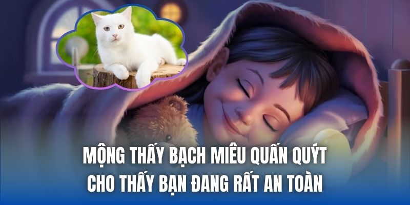 Mộng thấy bạch miêu quấn quýt cho thấy bạn đang rất an toàn