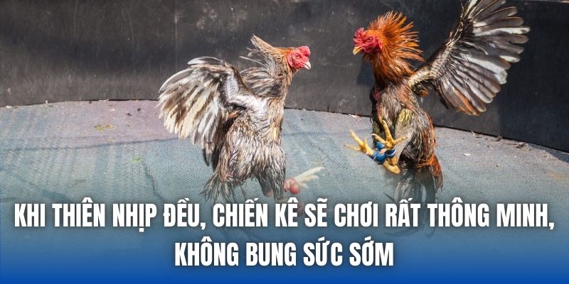 Nên kiểm soát tối đa mức cược của mình ngay cả khi đã nắm chắc chiến thắng