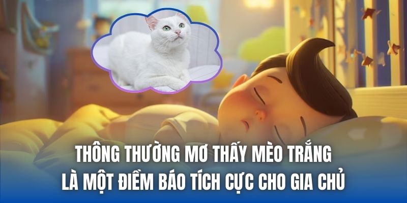 Thông thường mơ thấy mèo trắng là một điềm báo tích cực cho gia chủ