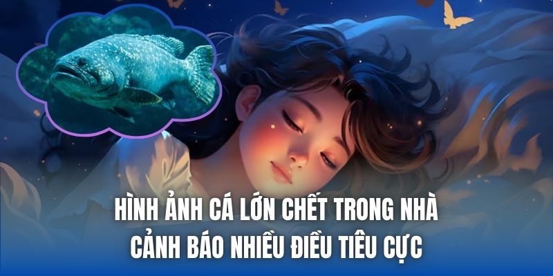 Hình ảnh cá lớn chết trong nhà cảnh báo nhiều điều tiêu cực