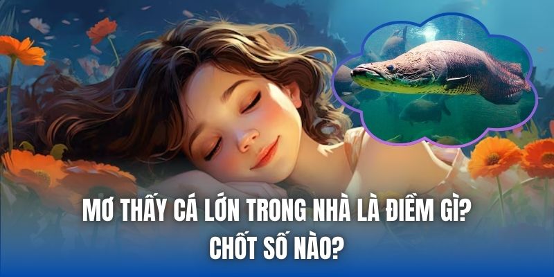 Mơ Thấy Cá Lớn Trong Nhà Là Điềm Gì? Chốt Số Nào?