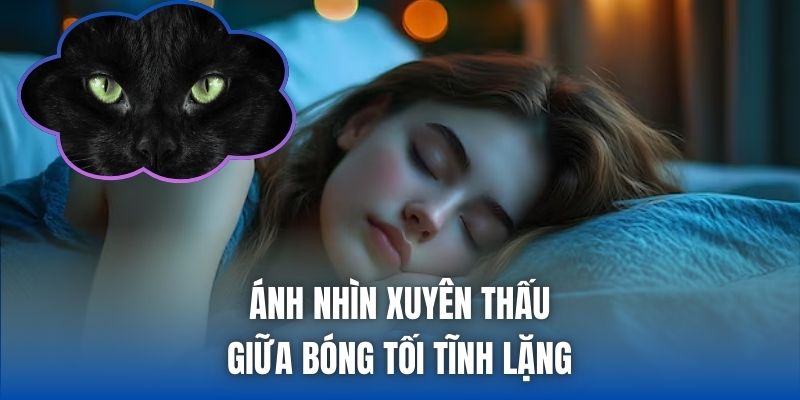 Ánh nhìn xuyên thấu giữa bóng tối tĩnh lặng