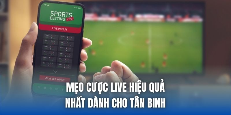 Mẹo Cược Live Hiệu Quả Nhất Dành Cho Tân Binh